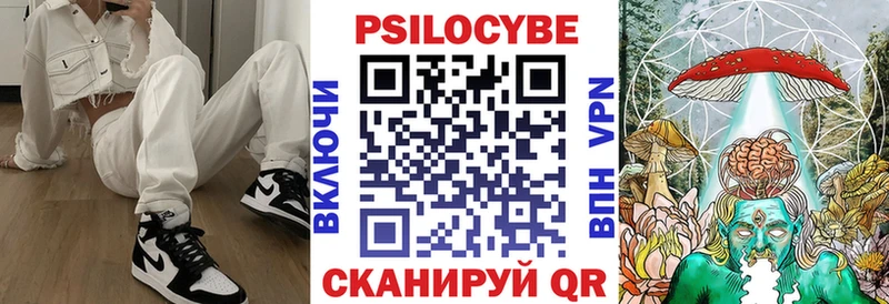 Галлюциногенные грибы Psilocybe Урюпинск